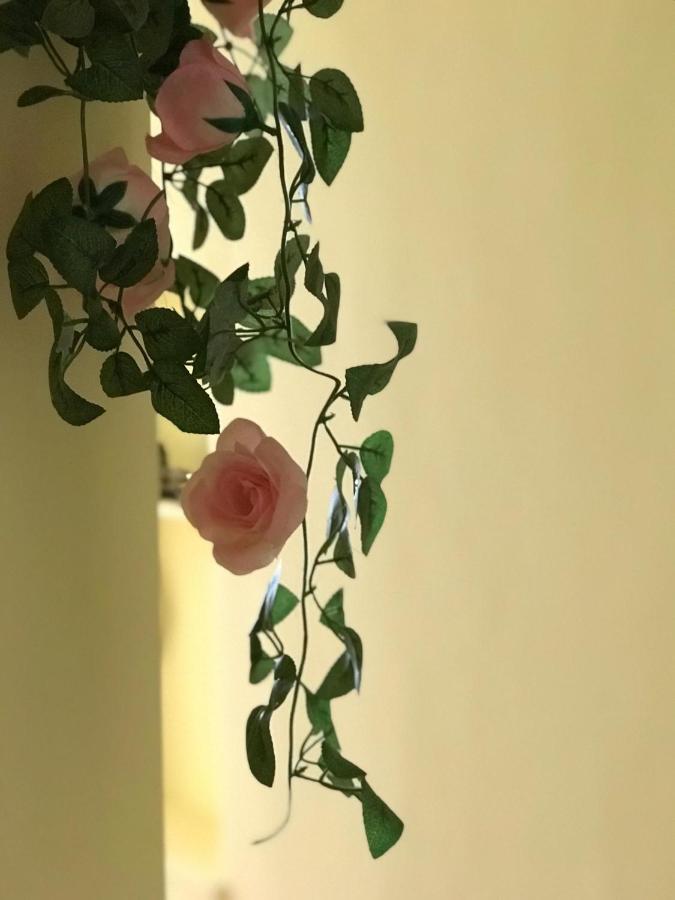 Auberge de jeunesse Belém Backpackers à Lisboa Extérieur photo