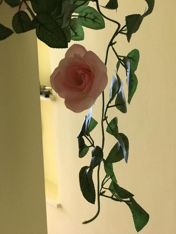 Auberge de jeunesse Belém Backpackers à Lisboa Extérieur photo